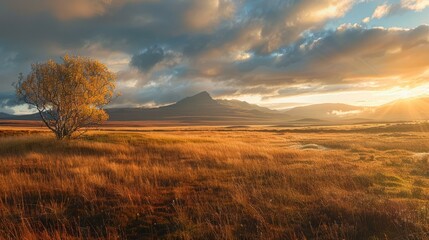 Fototapeta premium A beautiful landscape of a lonely tree in a vast field with mountains in the distance