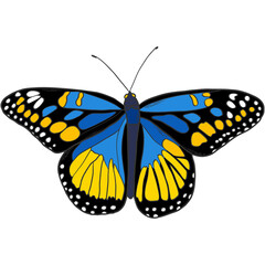 hand drawn butterfly for wallpaper, prints, stickers, cards, sublimation, posters, etc.