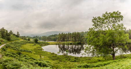 Panoramic view of Tarn Hows in the English Lake District