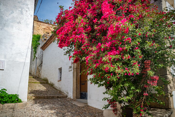 Naklejka premium Vista panorámica del casco histórico de la ciudad española de Cáceres con vistas a los tejados de tejas marrones de edificios antiguos alrededor de la plaza principal en el soleado día de primavera
