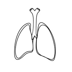 Human lungs one line art