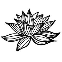 Lotus lily water flower line art