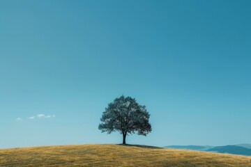 Lonely Tree on a Hill