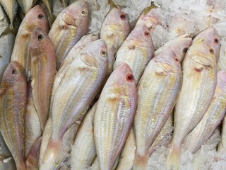 Treadfin breams fish fresh in ice sell on supermarket.