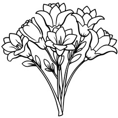 Freesia Flower  Bouquet outline illustration coloring book page design, Freesia Flower  Bouquet black and white line art drawing coloring book pages for children and adults