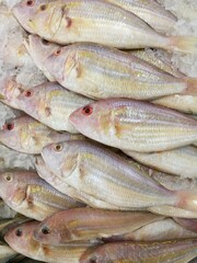 Treadfin breams fish fresh in ice sell on supermarket.