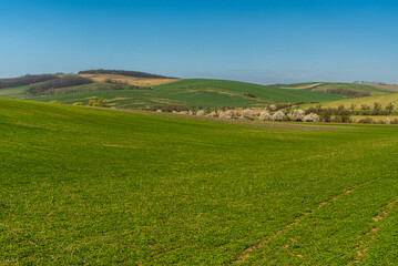 Springtime rolling landscape of Moravske Toskansko region near Boleradice village in Czech republic