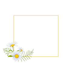 Watercolor frame with daisies and wild herbs. An illustration of a botanical meadow in the form of a handmade clipart on a white isolated background. For designers, decor, postcards, wrapping paper
