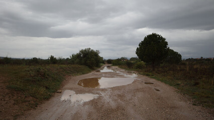 chemin de terre inondée avec flaques d'eau