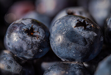 Macro blueberries