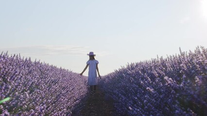 Teen girl walks by blooming lavender fields with blue lavender flowers in summer day. Farm for the production of lavender oil.