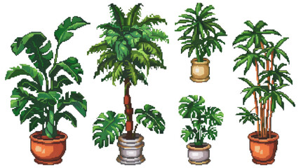 8 Bit. The image shows a variety of potted plants in isolated on transparent background