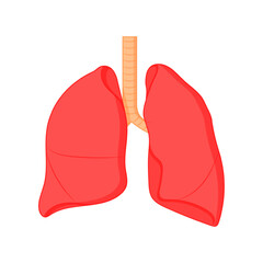 Vector illustration of Lungs on transparent background