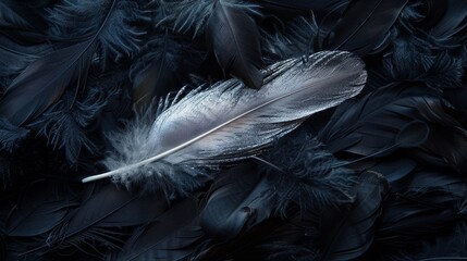 Elegant silver feather lying on a bed of soft dark feathers