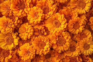 Vibrant orange flowers blooming in a sea of golden yellow petals under the sunlit sky - Powered by Adobe