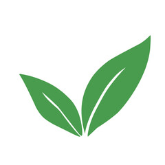 green leaf icon illustration