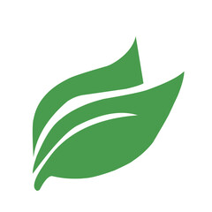 green leaf icon illustration