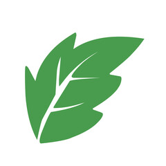 green leaf icon illustration