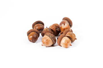 a pile of acorns from an oak tree isolated on white