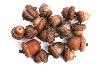 a large pile of acorns from an oak tree isolated on white