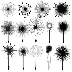 A monochromatic collection of abstract illustrations reminiscent of fireworks or dandelions