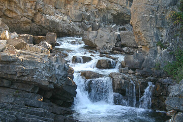photo of a waterfall in a small creek in the forest of Idaho