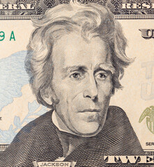 Details of a twenty dollar bill. Background