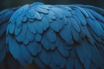 Fototapeta premium blue and yellow macaw