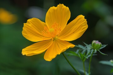 A detailed view of a bright yellow flower with soft petals, set against a blurred background of green leaves and other blooms
