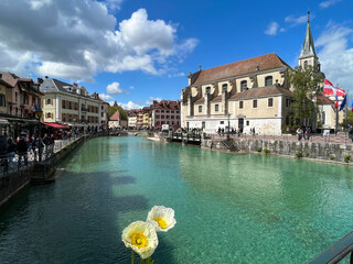 Annecy, Haute-Savoie, France, 04-21-2024: flowers, old town skyline and crystal clear waters of Thiou River with the iconic Palais de l'Ile on the background, Historic Monument of France since 1900