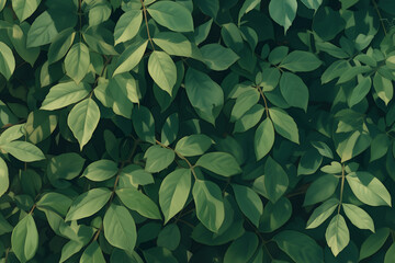 緑の葉が生い茂る植物の背景イラスト