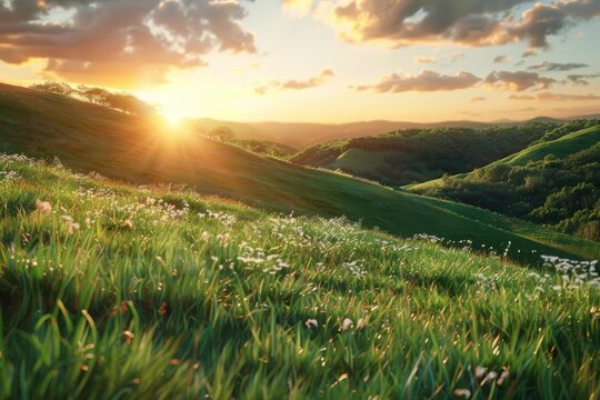 Create a beautiful landscape image of a green rolling hill with a sunset and clouds in the background. Make the image realistic and detailed.