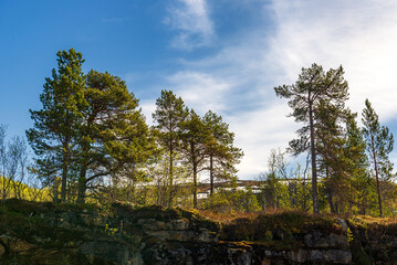  northern norway:nature sceneries on the road from Fauske to Narvik