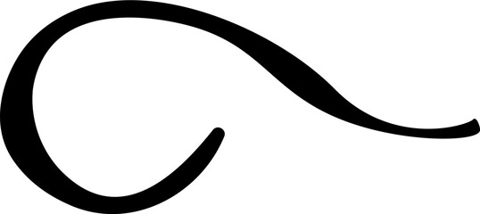 Сurly element swirl icon .Calligraphic swirl icon .Swoosh and swash symbol. 