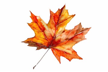 Fototapeta premium A detailed watercolor painting of a leaf on a white background. Ideal for botanical illustrations