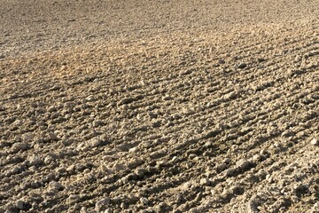 Prepared field soil in the sun in spring