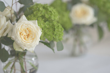 Close-up of muted white rose and green hydrangea with copy space, horizontal