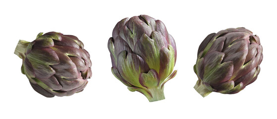 collection of green isolated artichoke on transparent background