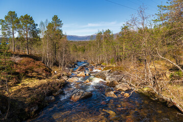  northern norway:nature sceneries on the road from Fauske to Narvik