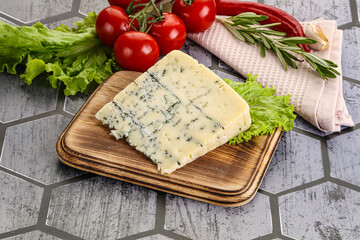 Gourmet blue cheese with mold