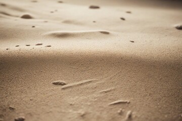 footprints in the sand
