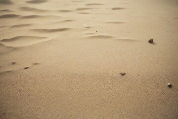 footprints on the beach
