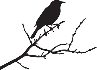 crow on a branch