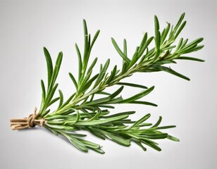 Rosemary leaf herbal is spices