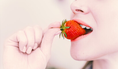 Obraz premium Beautiful girl holding ripe red strawberries in her mouth. Close-up. Selected Focus