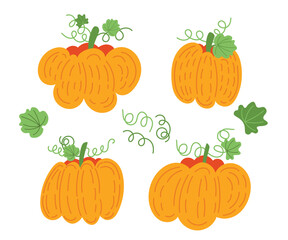 Pumpkin vector set in a cute hand draw style. Happy Thanksgiving, harvest conception.