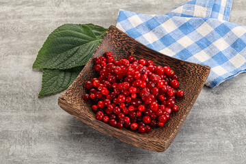 Ripe sweet wild organic cowberry