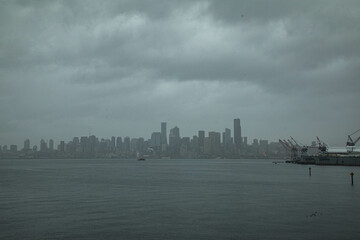 Fototapeta premium City skyline seen from harbor with many tall buildings in the background