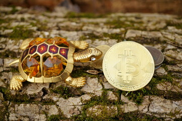 The bitcoin coin and the turtle figure. Finance and economics.