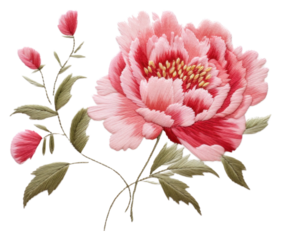 PNG  Cute minimal Peony in embroidery style pattern flower plant.